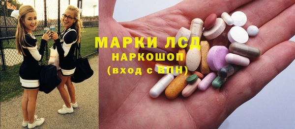 шишки Бердск
