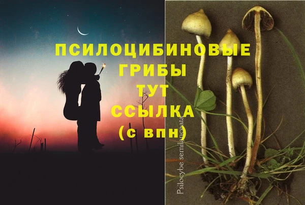 2c-b Няндома