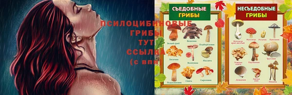 МДМА Нязепетровск