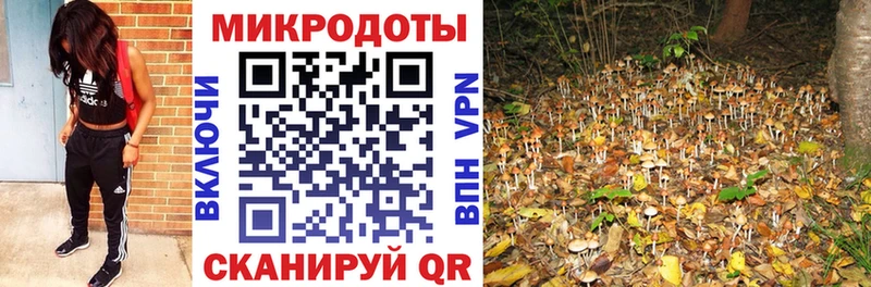 Галлюциногенные грибы Cubensis Купить закладки Долинск